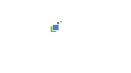 The Rational Investor